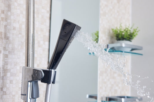 Mirable 艷之美蓮蓬頭濾芯組(日本製)